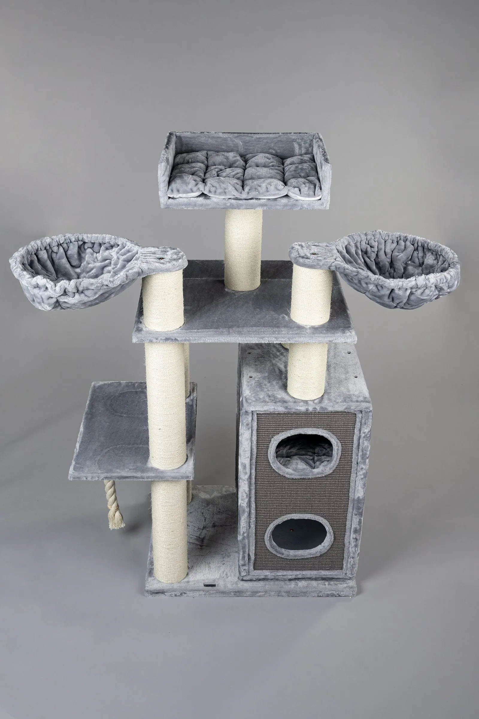 Cat Paradise Gris Claro
