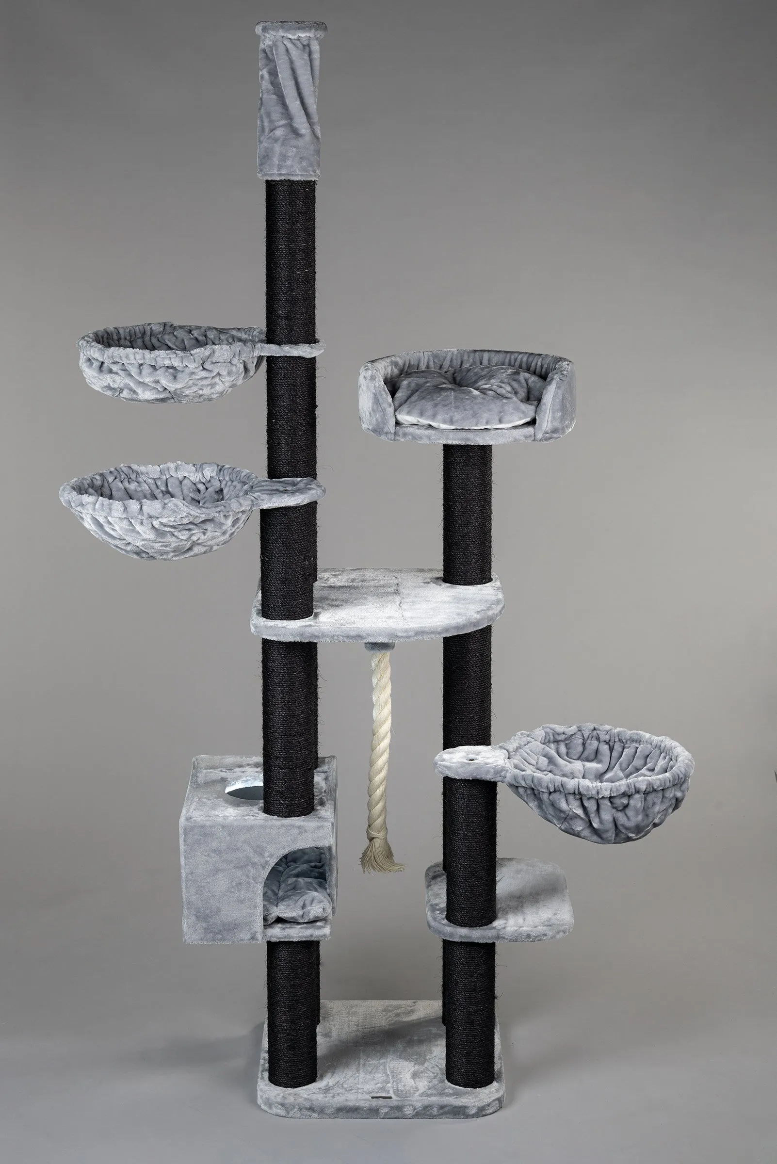 Catdream de Luxe Blackline Gris Claro