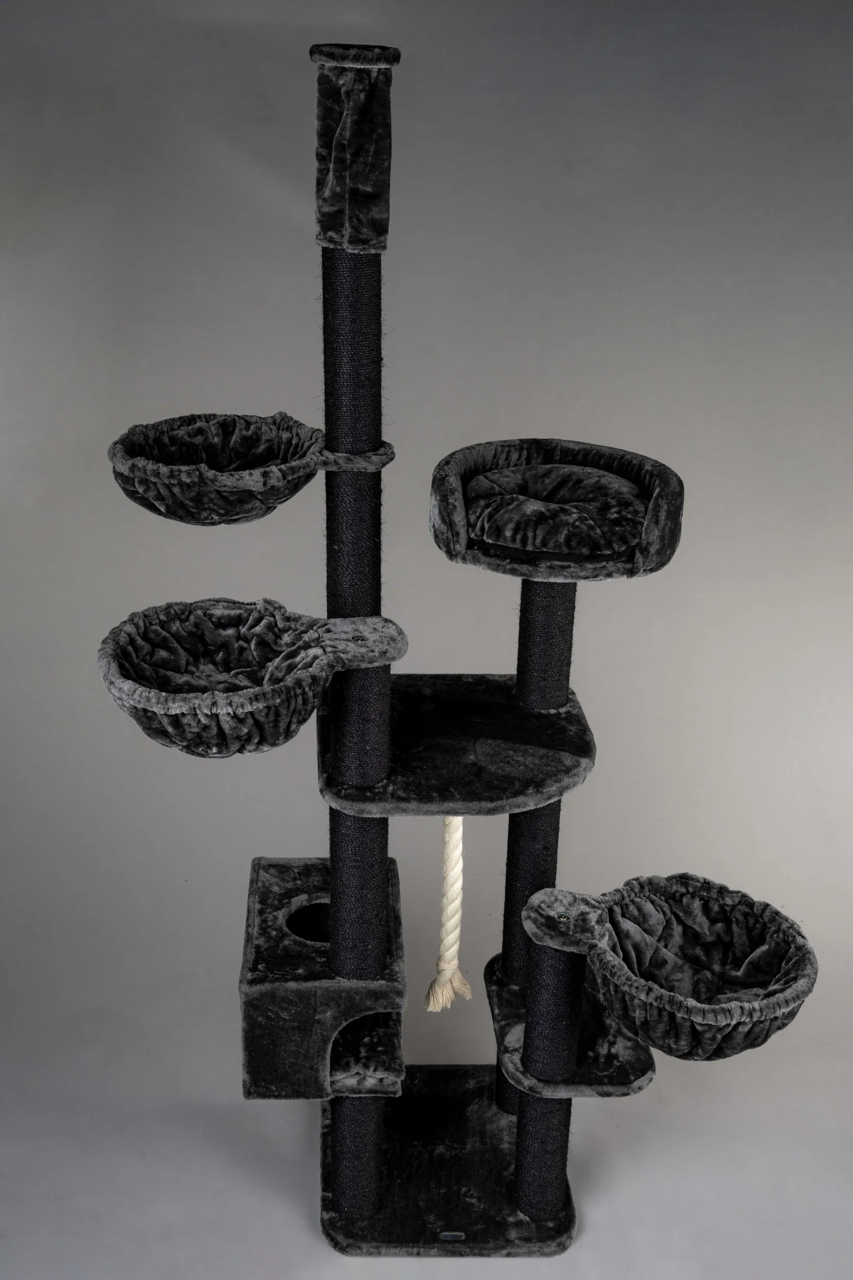 Catdream de Luxe Blackline Gris Oscuro