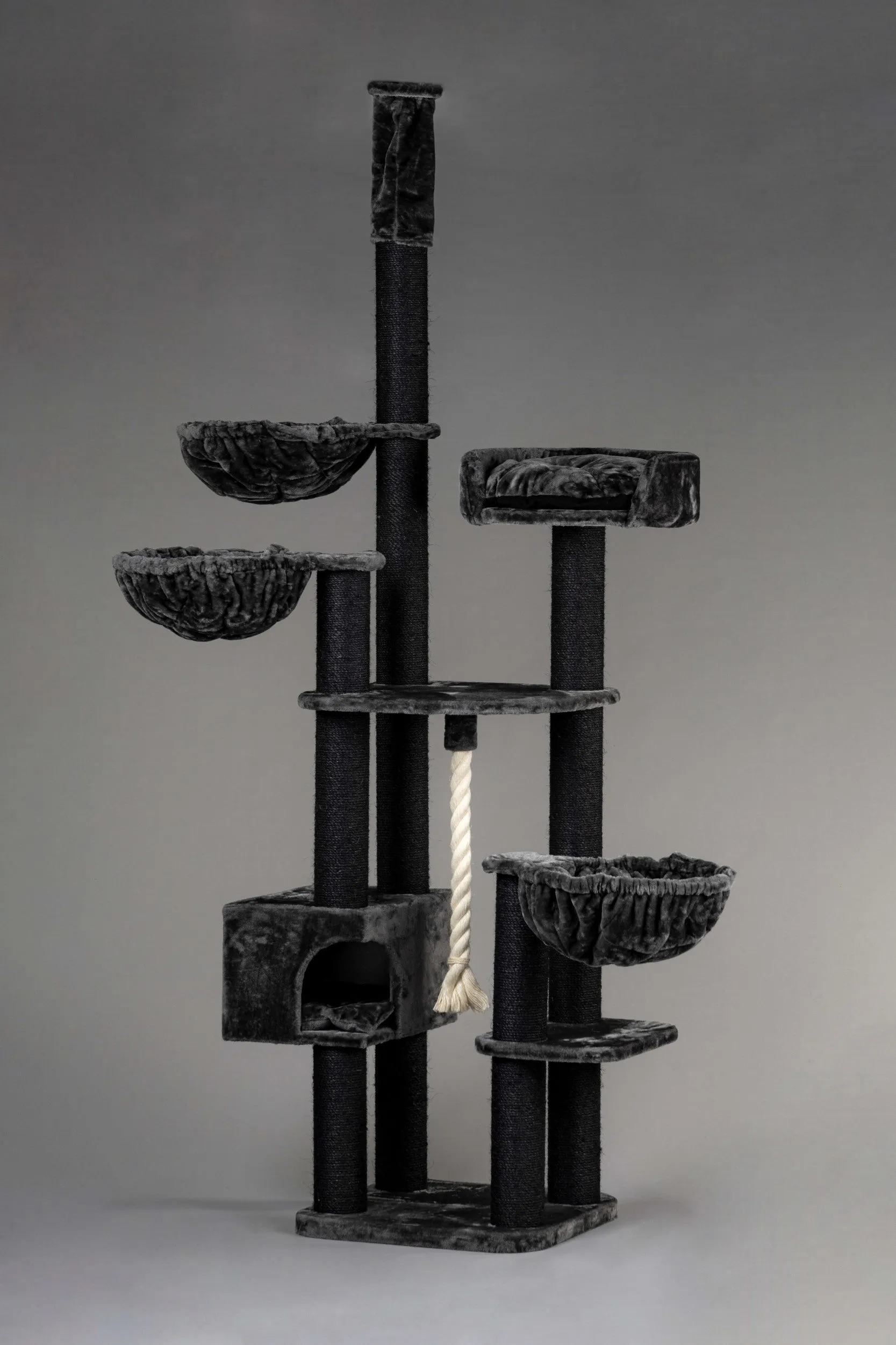 Catdream de Luxe Blackline Gris Oscuro