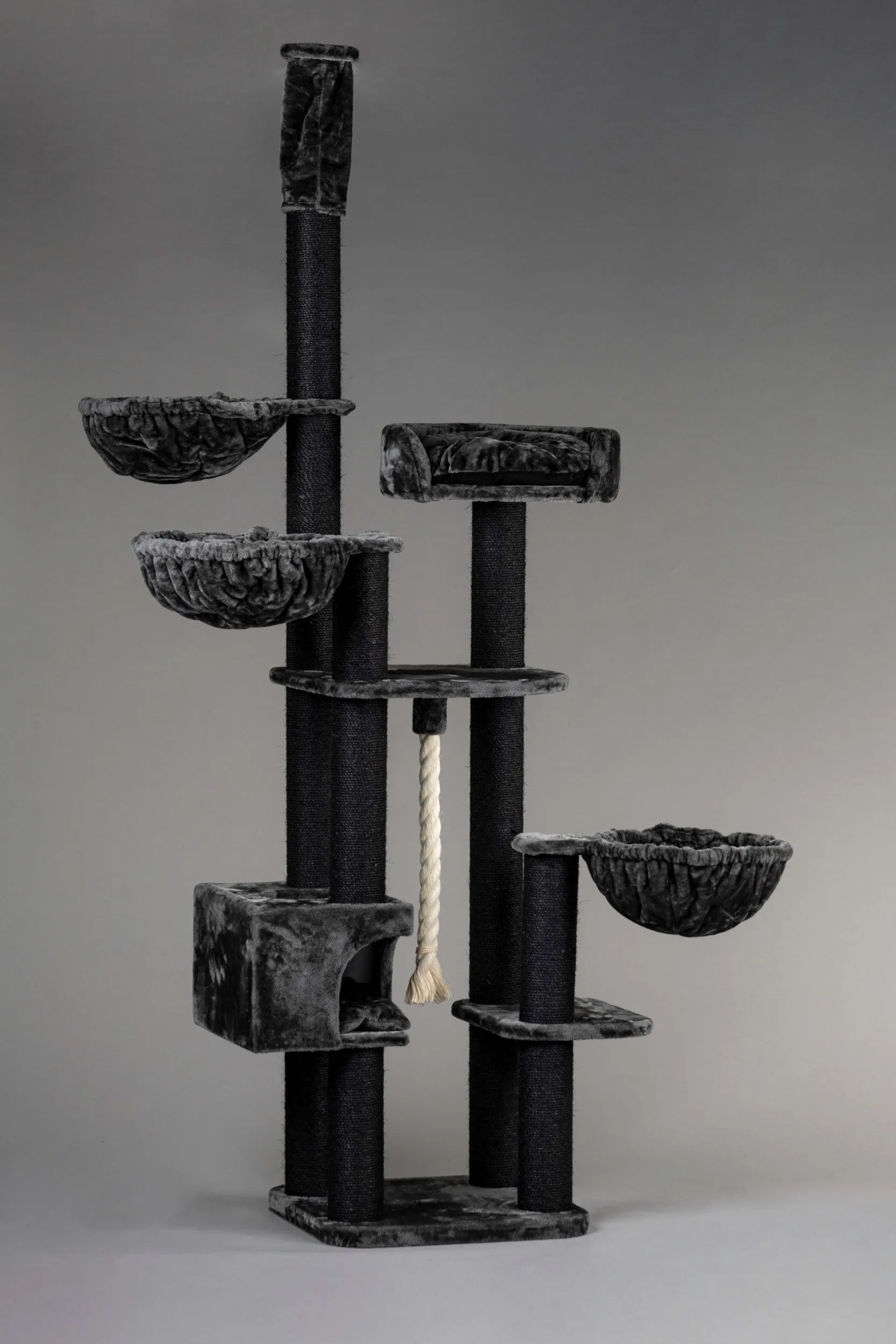 Catdream de Luxe Blackline Gris Oscuro