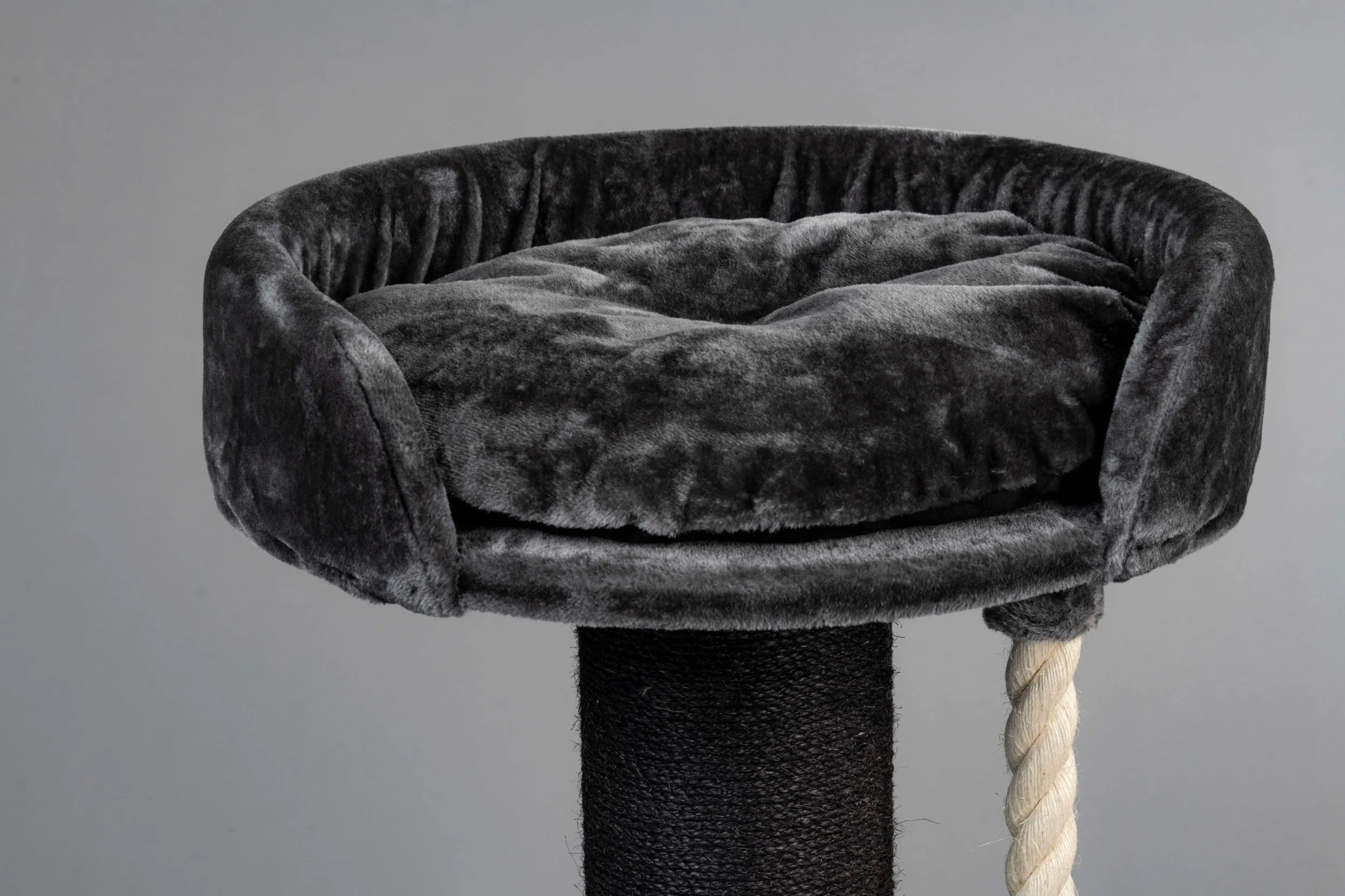 Chartreux Blackline Gris Oscuro