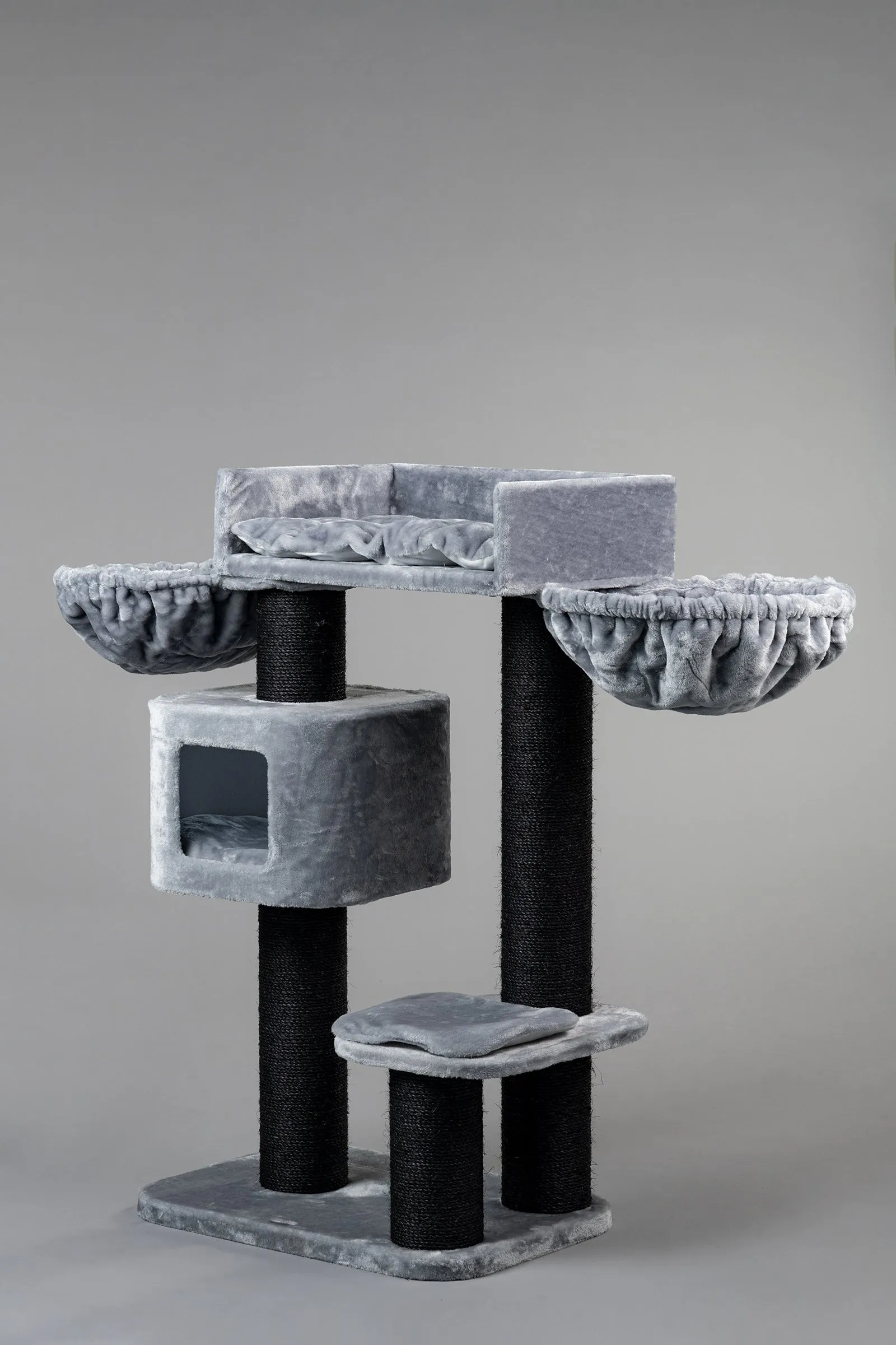 Devon Rex Blackline Gris Claro Plus