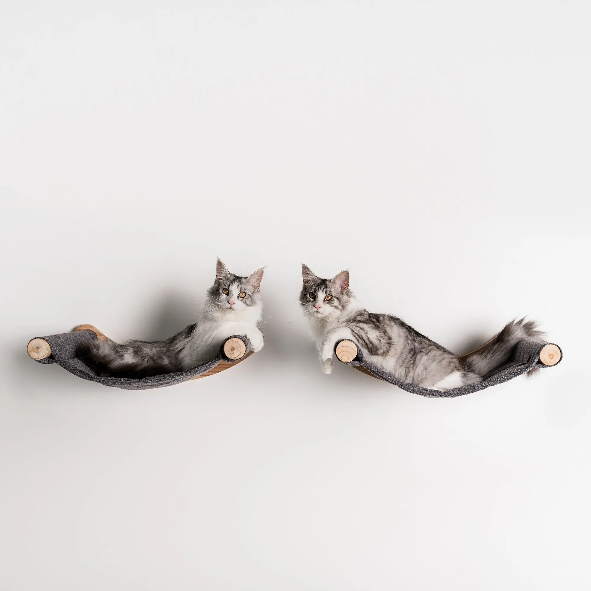 Muro Escalada Para Gatos - Hamaca de Luxe XXL (Gris)