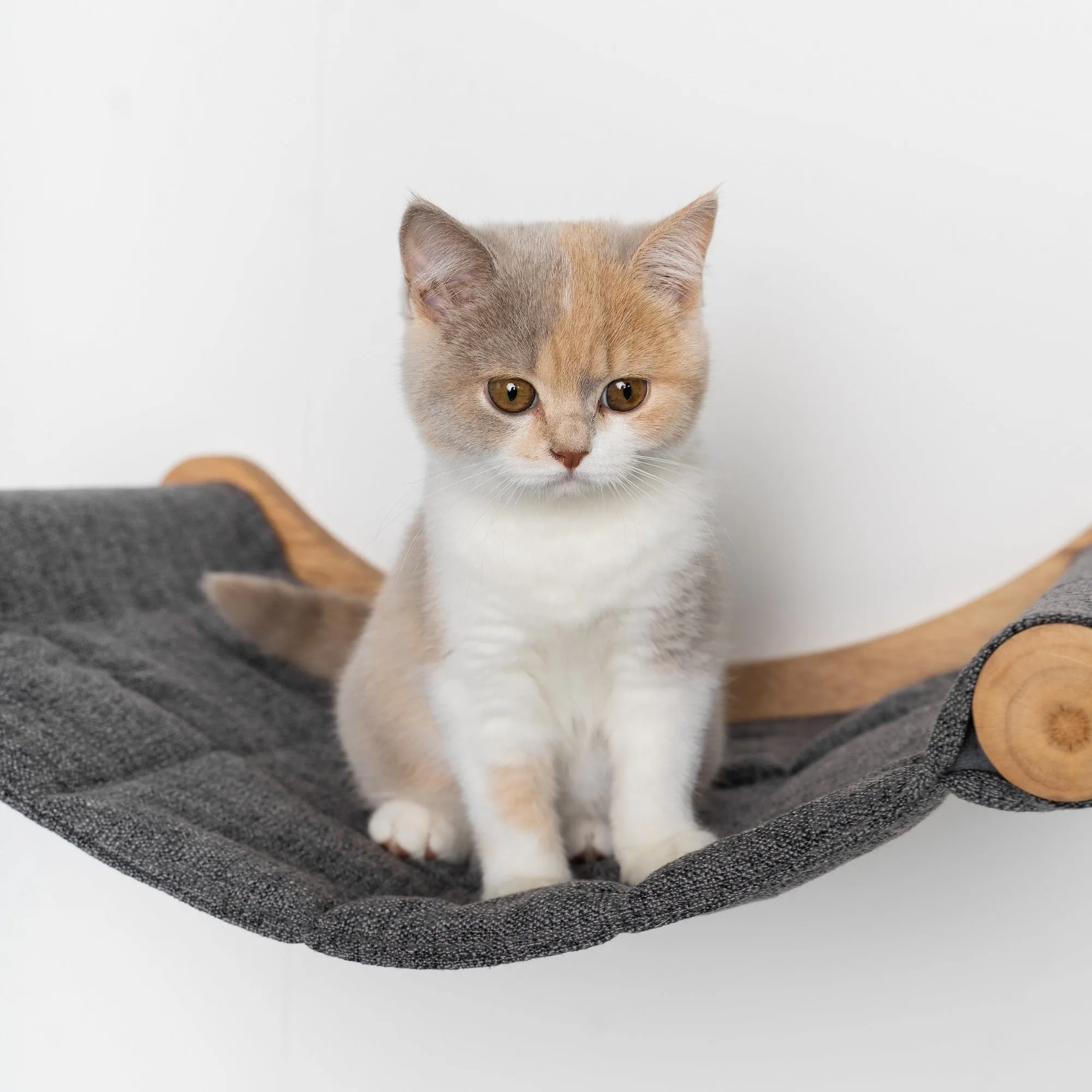Muro Escalada Para Gatos - Hamaca de Luxe XXL (Gris)