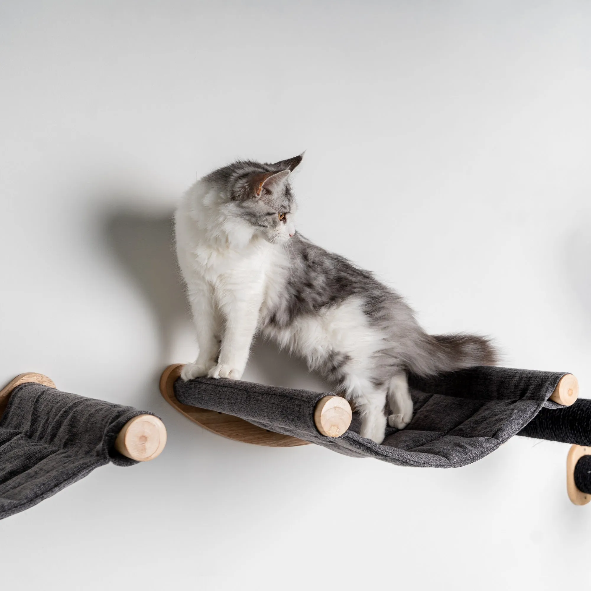 Muro Escalada Para Gatos - Hamaca de Luxe XXL (Gris)