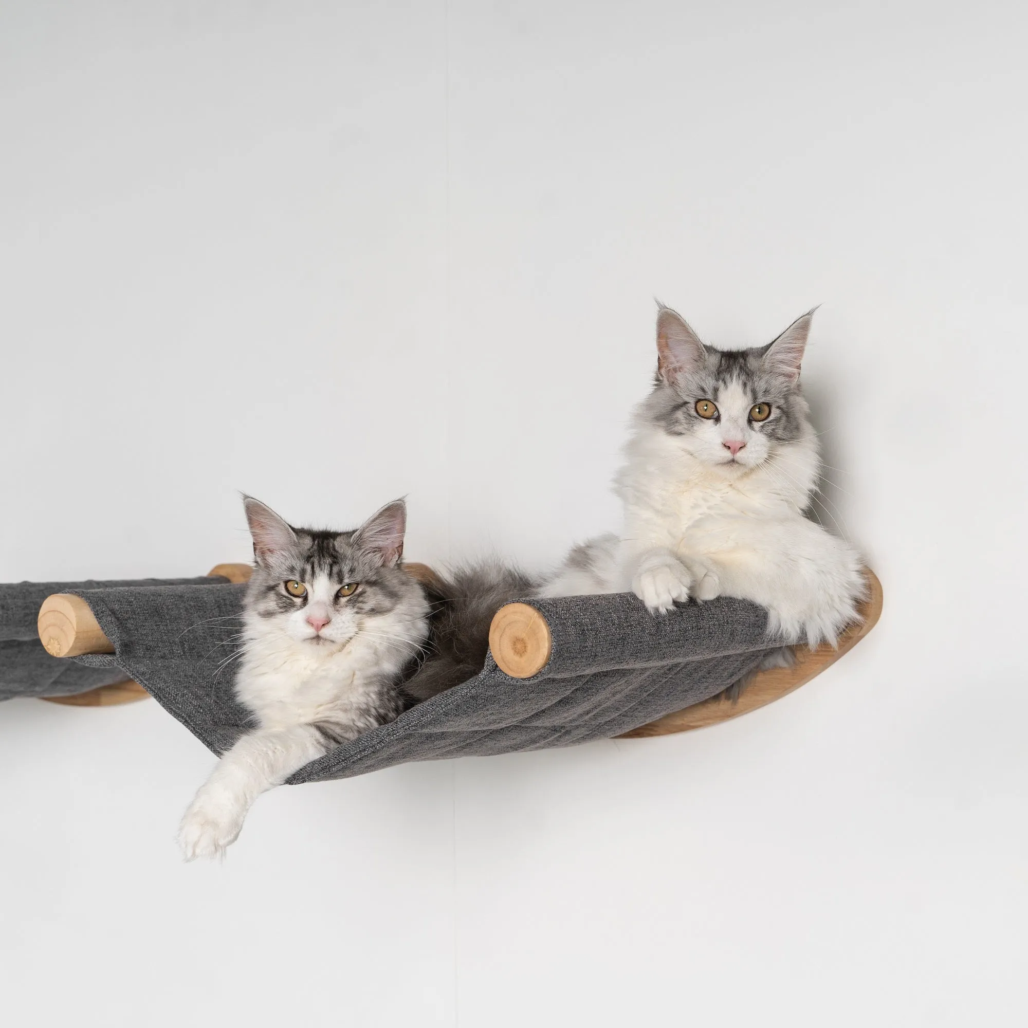 Muro Escalada Para Gatos - Hamaca de Luxe XXL (Gris)