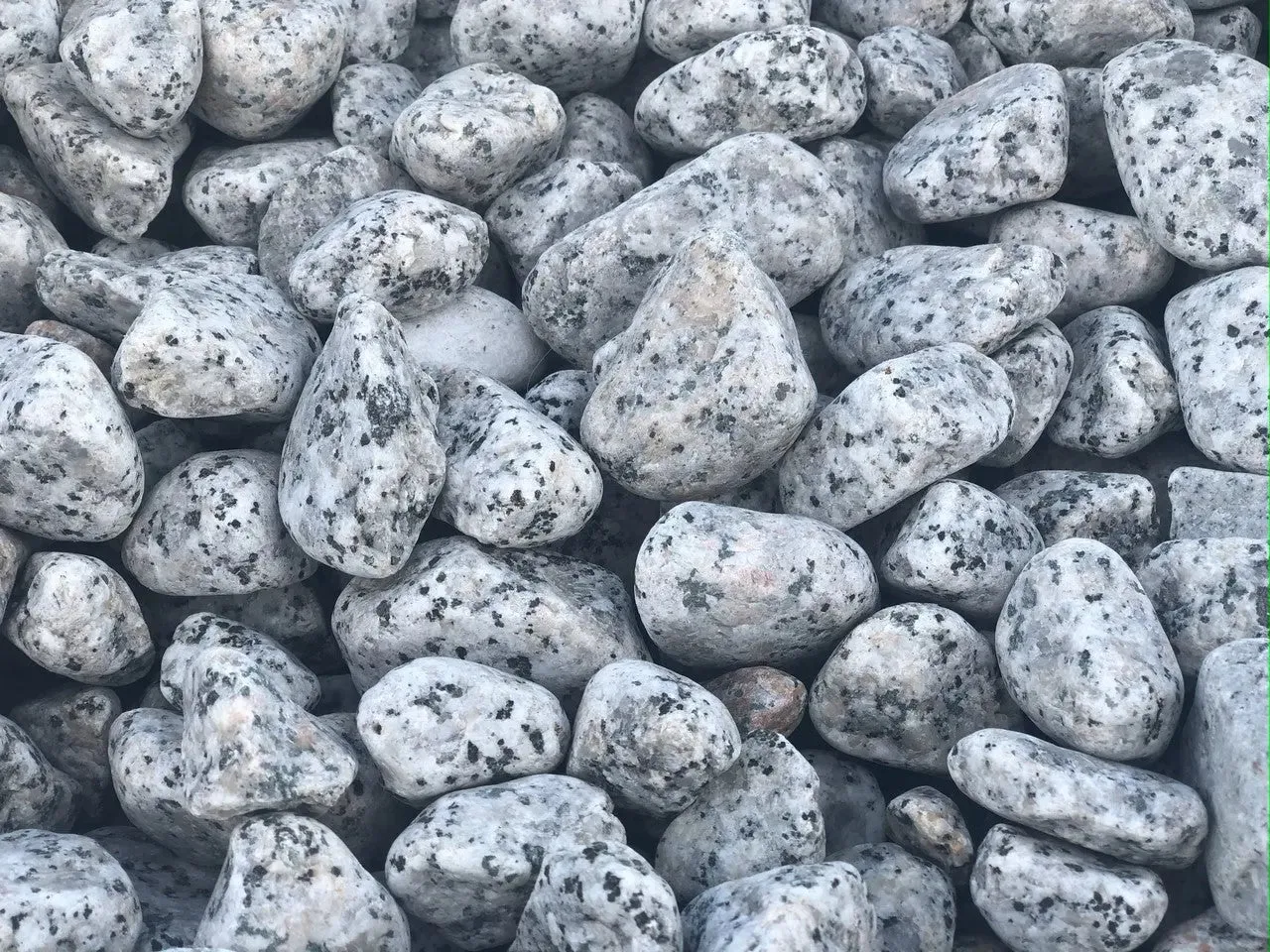 Piedra para Lecho Tortugas Vio Habit